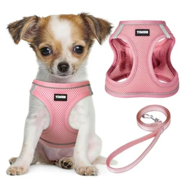 Dog Harness and Leash Set: