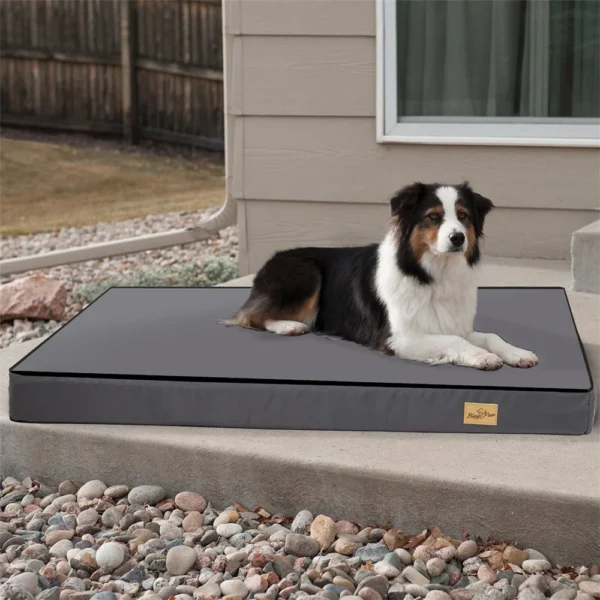 Large Orthopaedic Dog Bed Waterproof Cushion