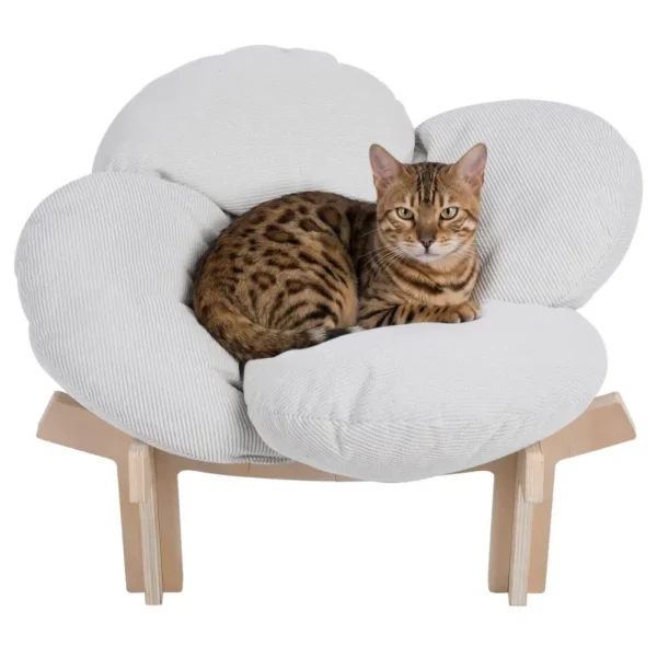 Elevated Wooden Bed , Petal Shaped Cat Couch